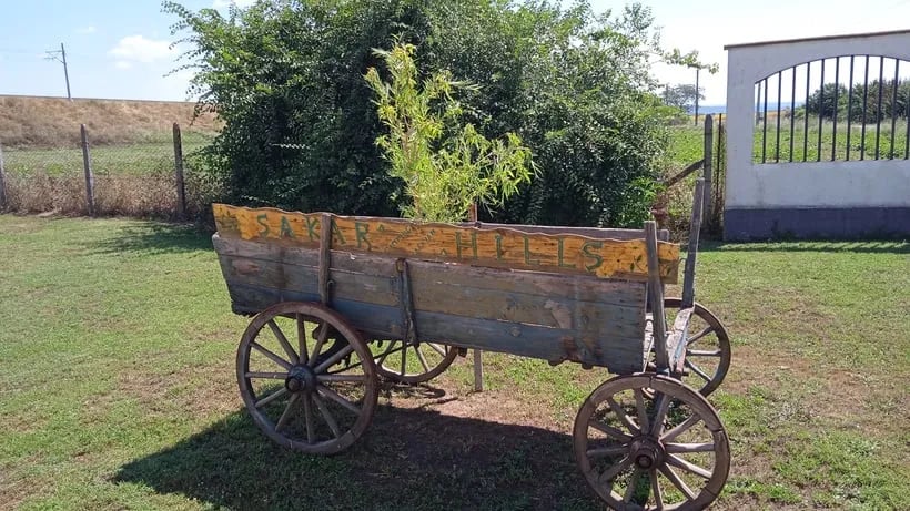 Sakar Hills Camping gallery 2