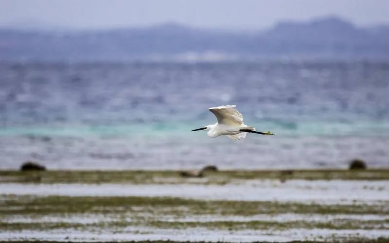 Campeggio Maremma Sans Souci