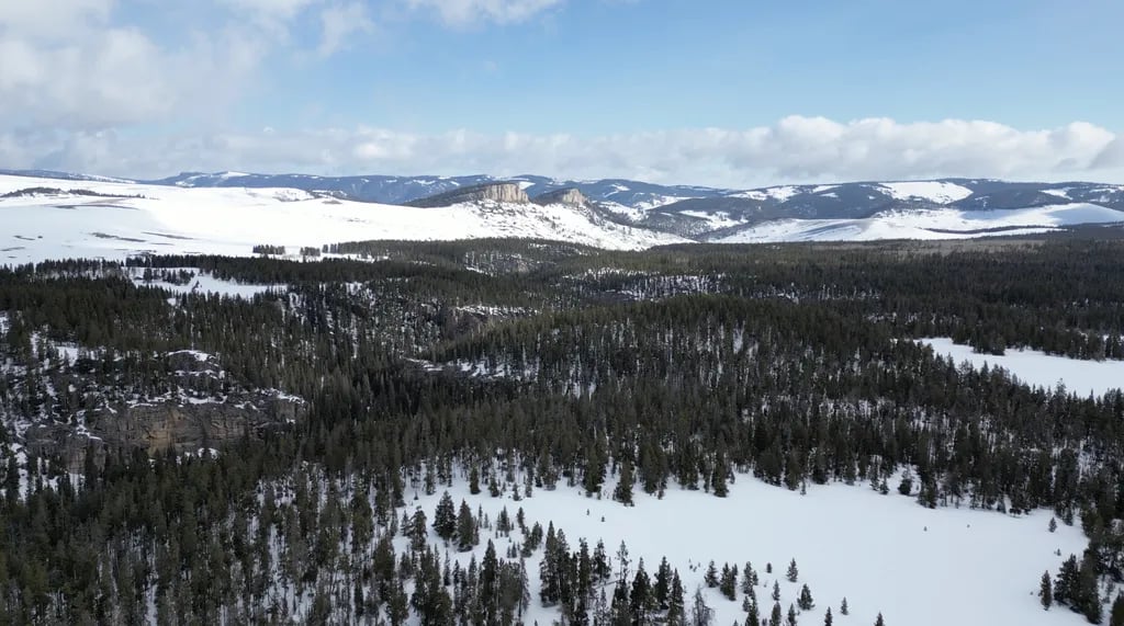 Bear Lodge Resort gallery 2