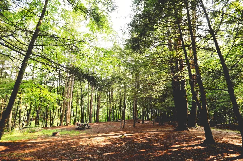 Slumber Valley Campground gallery 1