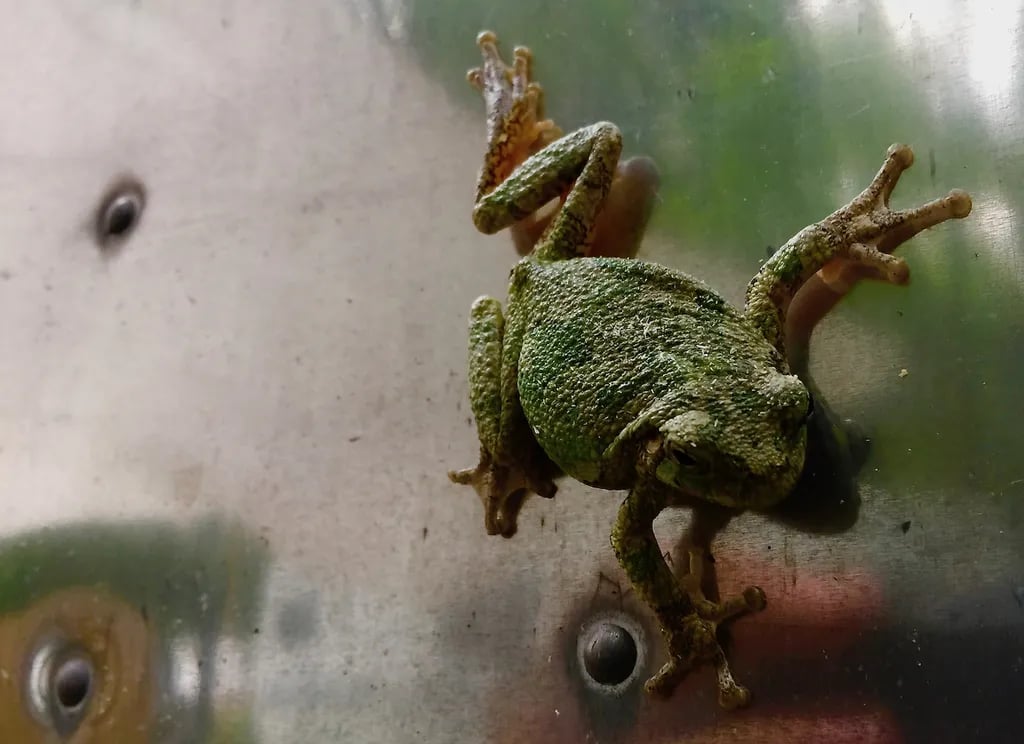 Bluegrass Campground gallery 1