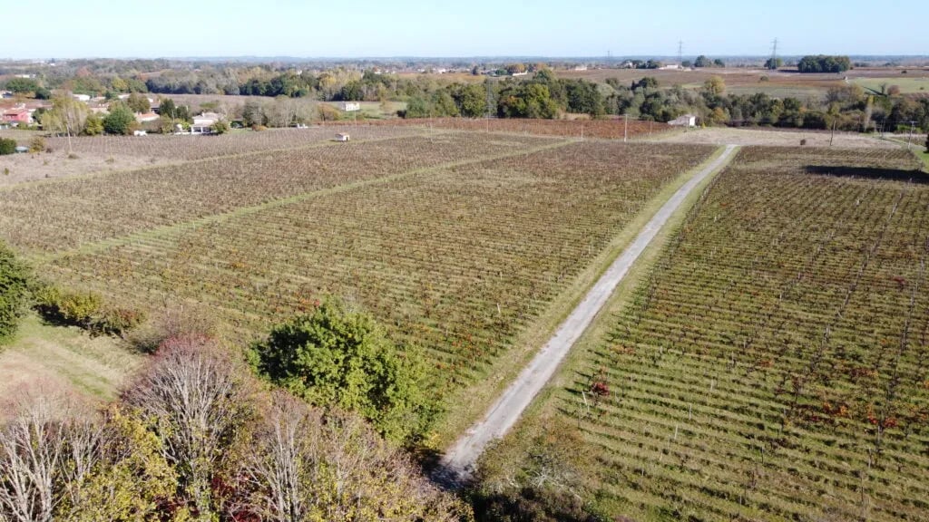 Château Monichot gallery 2