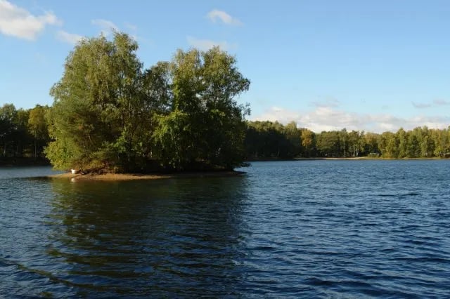Campingplatz am Springhorstsee gallery 2