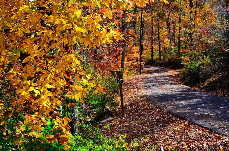 DeSoto State Park Campground gallery 3