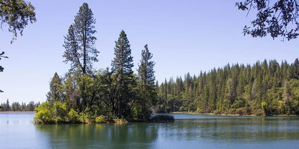 Lake Francis Resort gallery 1