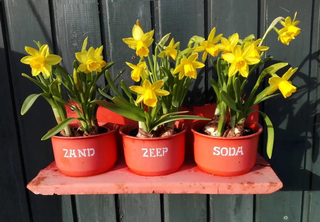 Camping De Ganzenhof