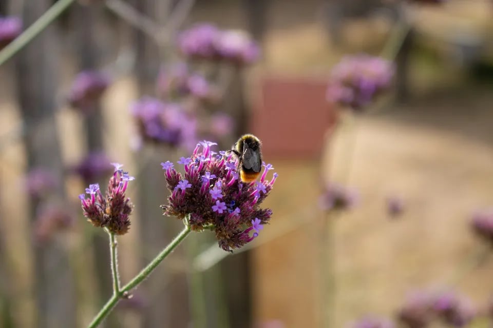 Camping le Cheslez gallery 1