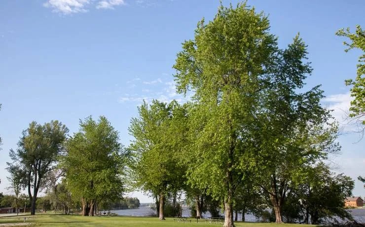 Big Lake State Park Campground gallery 2