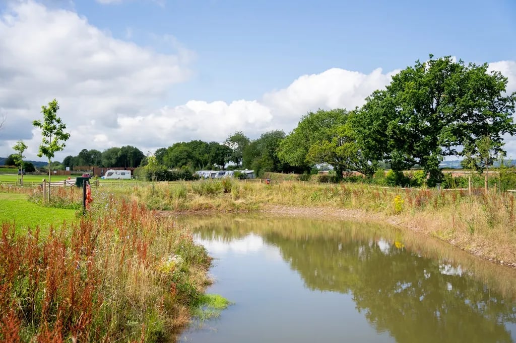 Spring Lea Park gallery 1