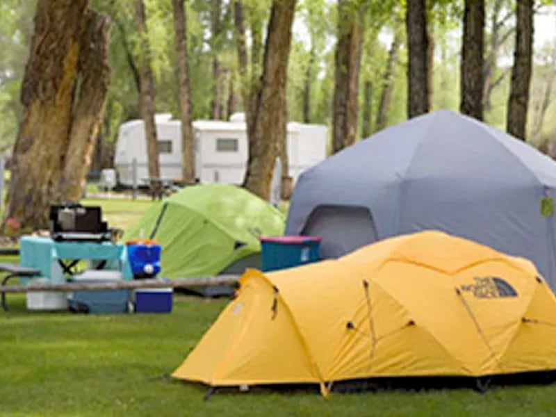 Tall Texan RV Park & Cabins gallery 3