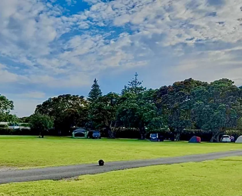 Waitara Holiday Park gallery 2