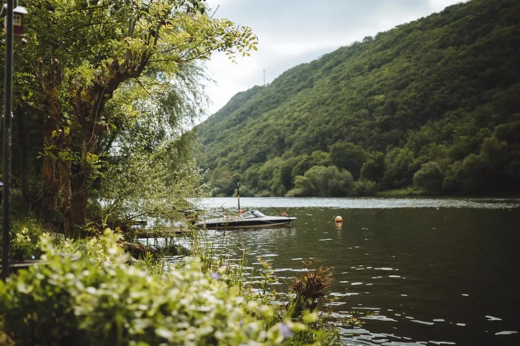 Campingplatz Mosel Wunder gallery 1