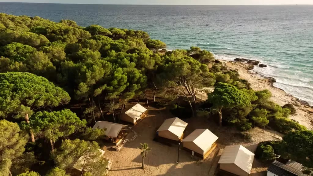 Camping las Palmeras