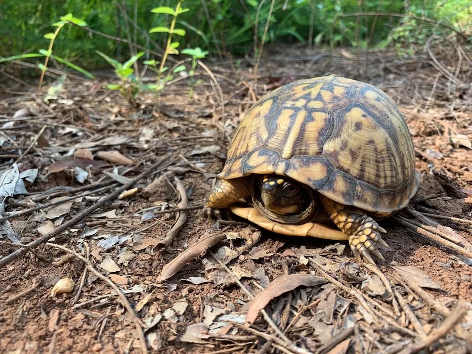 COE John H Kerr Reservoir North Bend Park gallery 1
