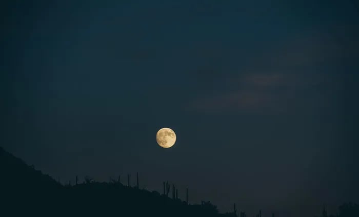 Stardust trailer park gallery 2