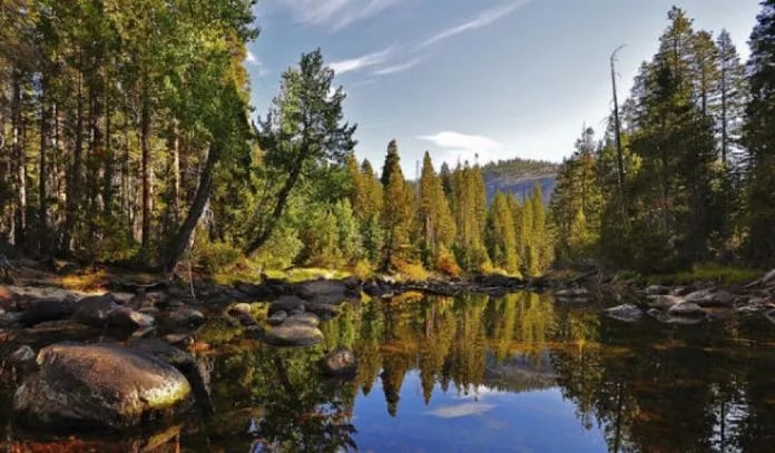 Triple-B RV Park – Magnolia gallery 1