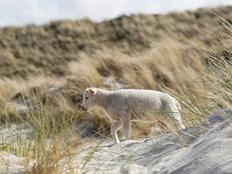 Camping Mühlenhof gallery 1