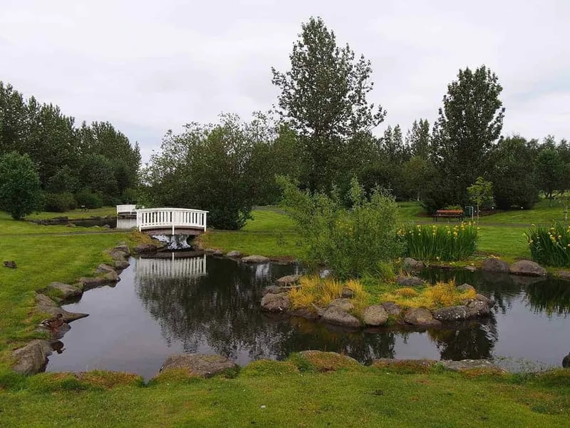 Reykjavik Eco Campsite gallery 2