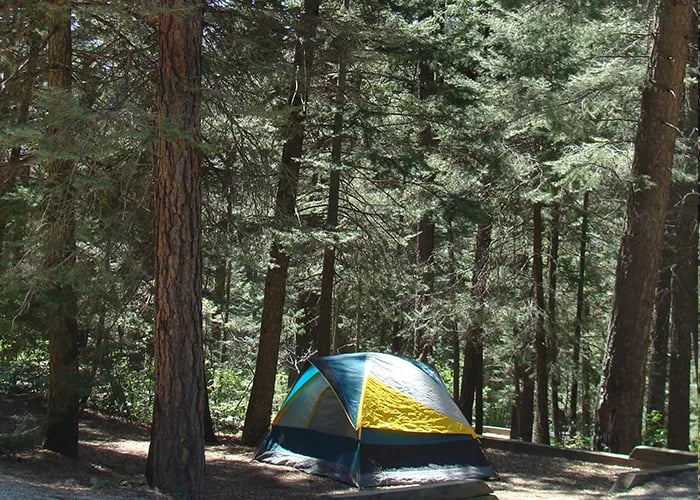 Hyde Memorial State Park Campground gallery 2