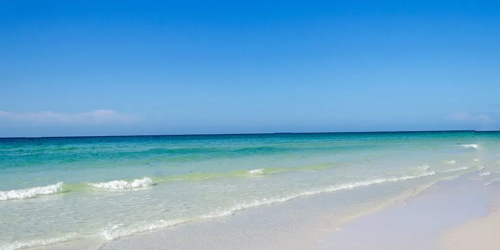 Sarasota Sunny South RV Resort gallery 3