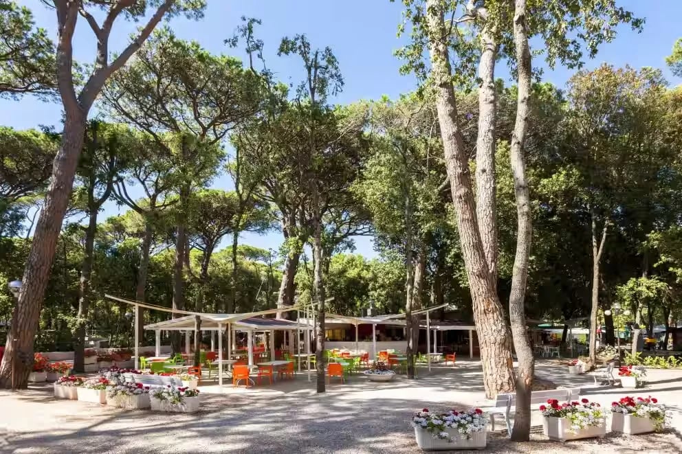 International Etruria gallery 3