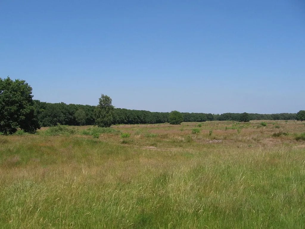 Natuurcamping Fazantenhof gallery 2