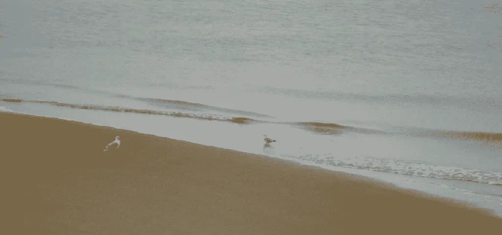 Port A RV Resort gallery 3