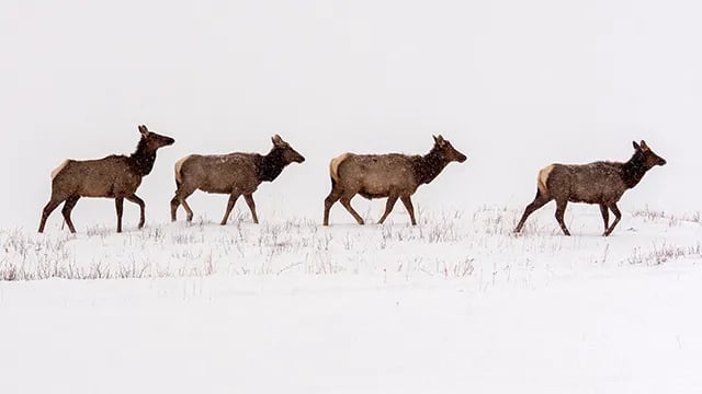 Waterton Lakes National Park of Canada
