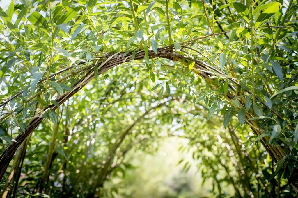 Camping Perma-Pirate gallery 2