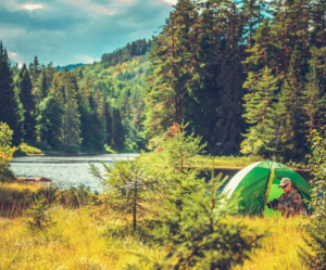 Wild camping in England