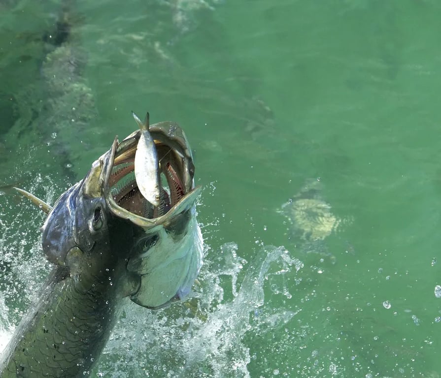 River Landing RV Park