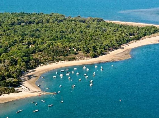 De Lente van Drenthe