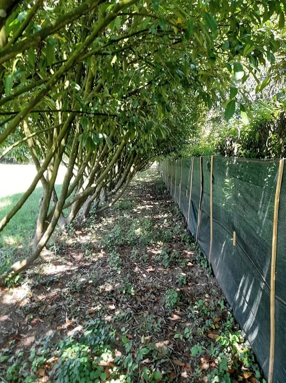 Camping Severine gallery 3