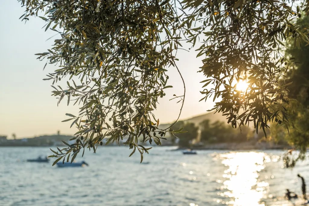 Camping Kanic gallery 2