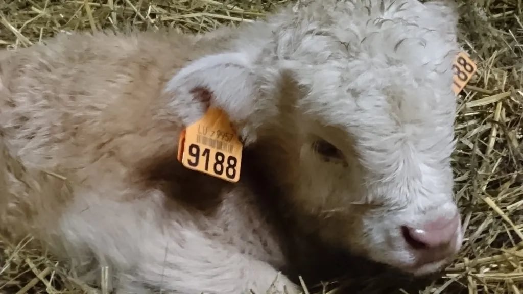 Camping Toodlermillen gallery 1