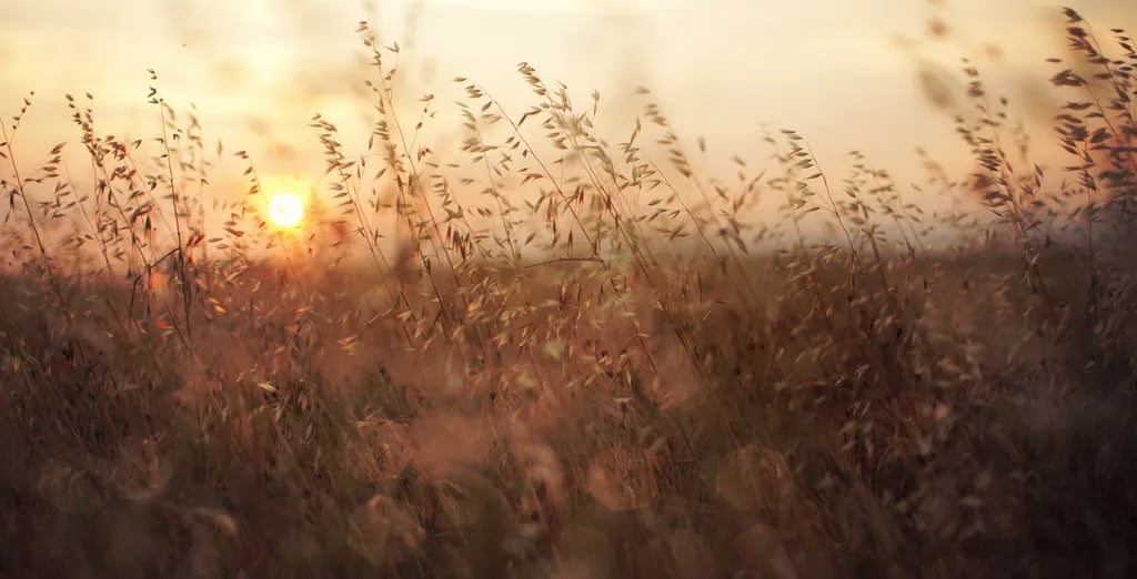 Twin Acres Campground gallery 2