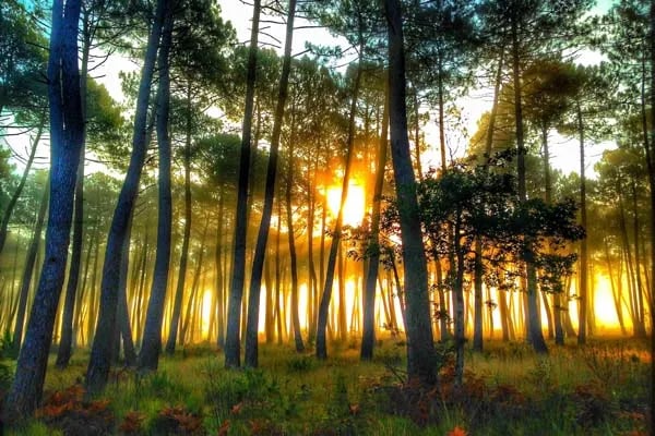 Camping Calede gallery 2