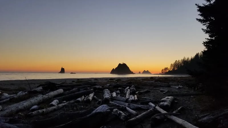 Mosquito Creek — Olympic National Park