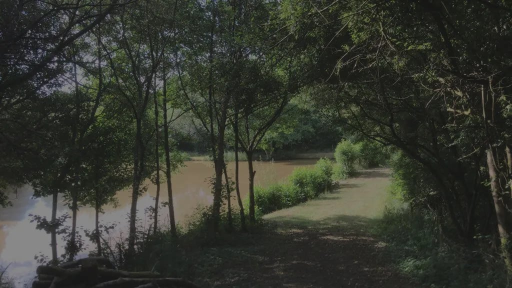 Tinney Waters gallery 3