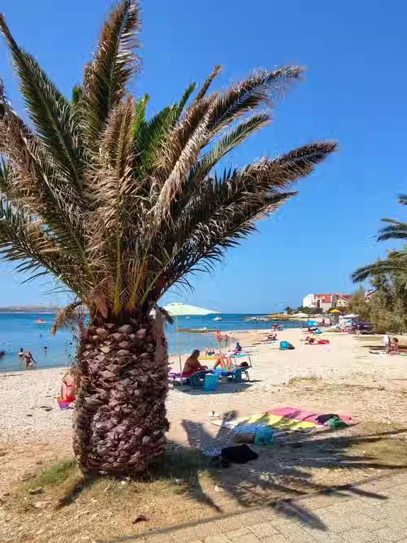 Camp Porat gallery 1