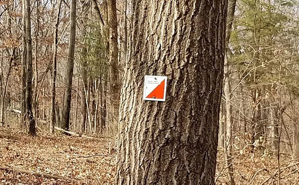 Whitebreast Campground