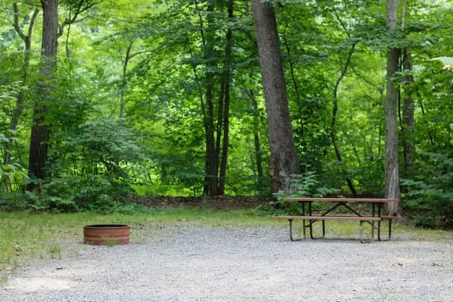 Exeter Elms Campground gallery 1