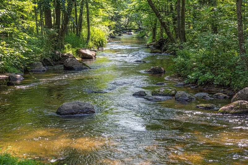The Bellefonte Campground gallery 1
