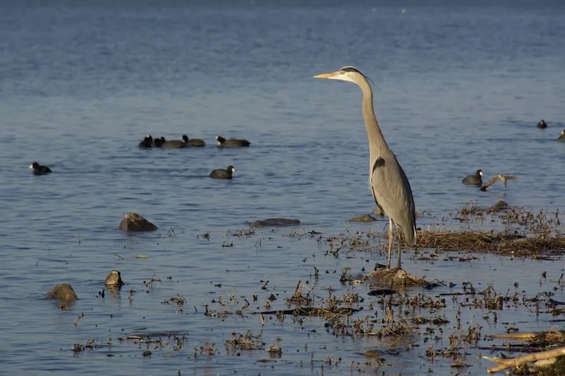 Georgia Mountain RV Resort gallery 2