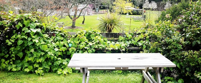 Orere Point TOP 10 Holiday Park gallery 2