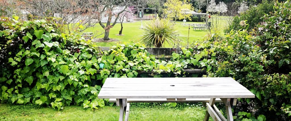 Orere Point TOP 10 Holiday Park gallery 2