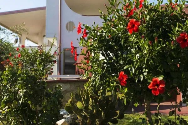 Nirvana Club Village (Gammatour S.a.s.) gallery 3