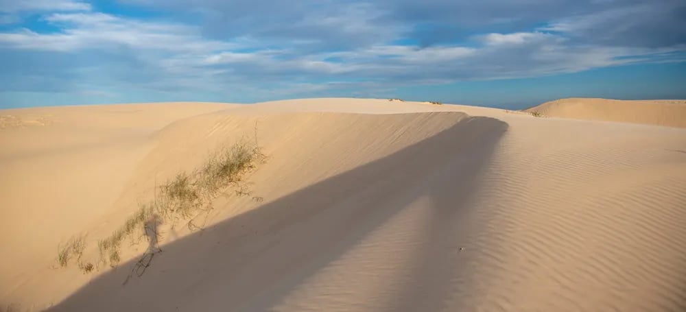 Monahans Sandhills State Park Campground gallery 2