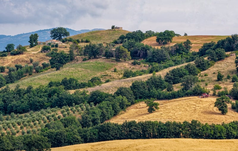 Fattoria La Maliosa gallery 1