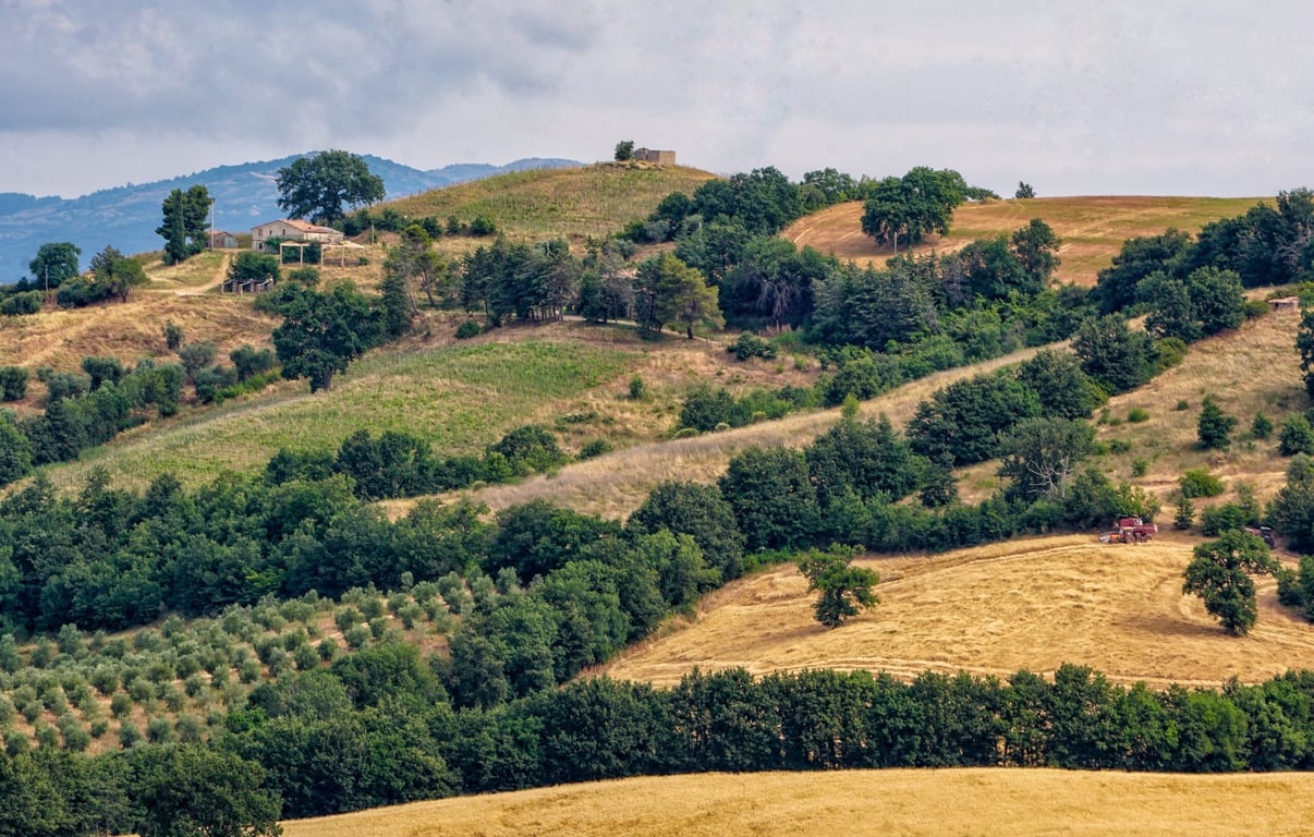 Fattoria La Maliosa gallery 1